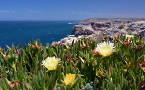 Algarve Portugal NIKON 416