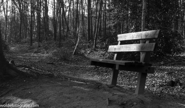 130313_naamloos_9205-4