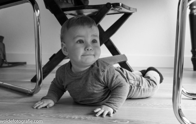 020402_Ouderkerk ad Amstel_9522