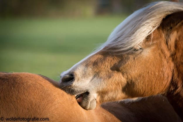 230423_naamloos_9703