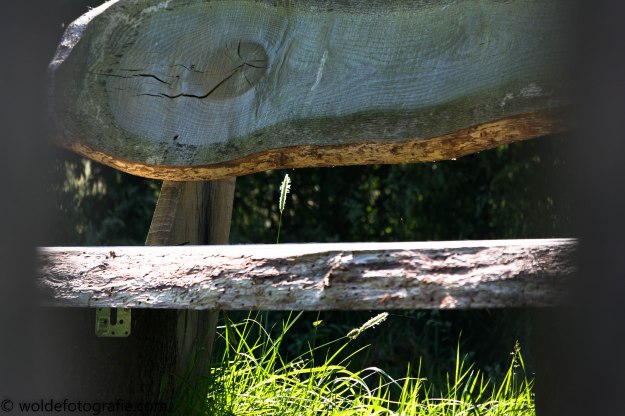 050605_naamloos_0126