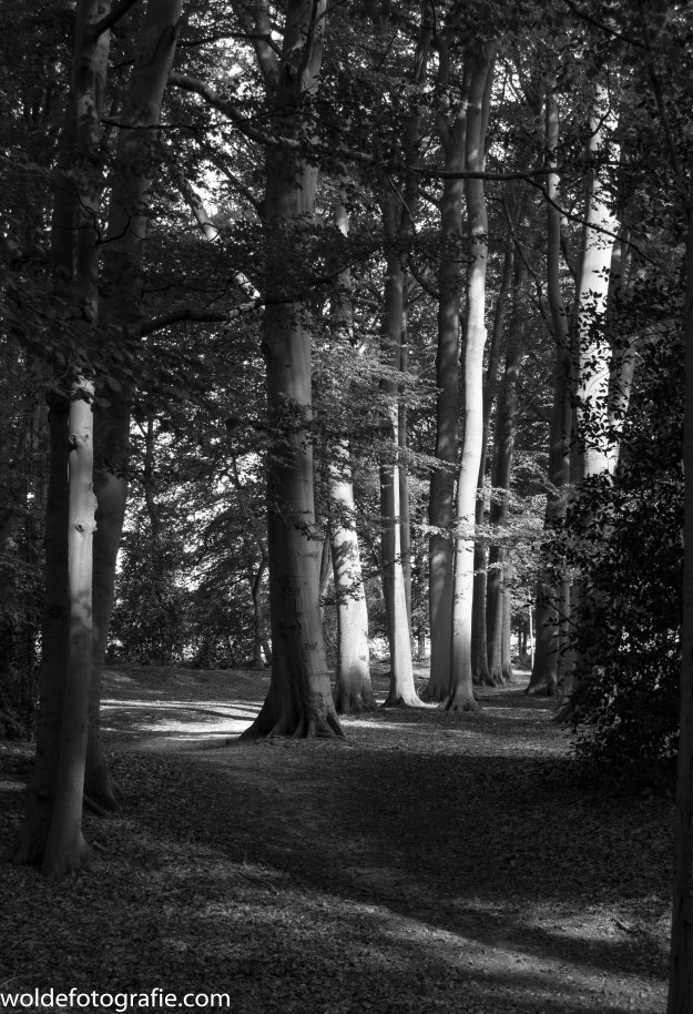 030903_naamloos_2374