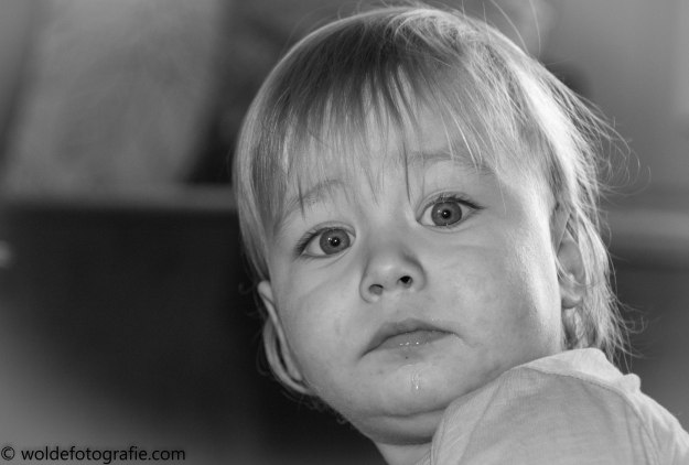 121112_naamloos_2830