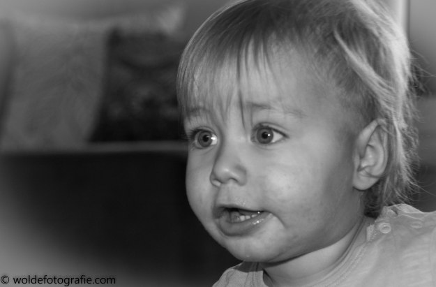 121112_naamloos_2831