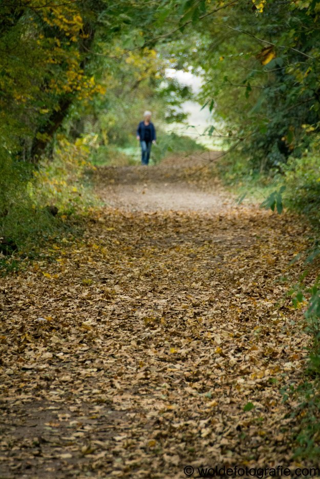 301030_naamloos_2730-2