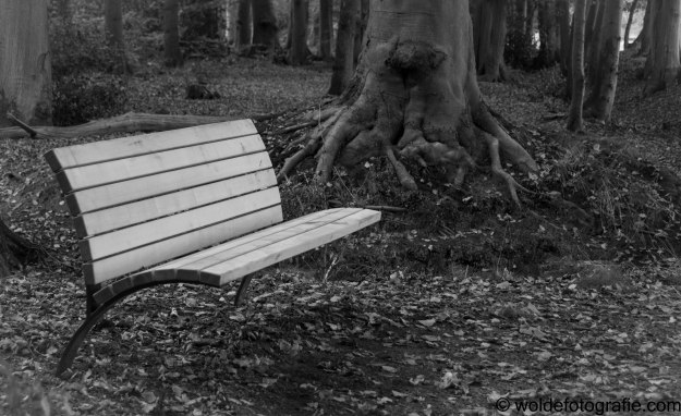 301030_naamloos_2747