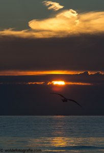 040704_naamloos_1158