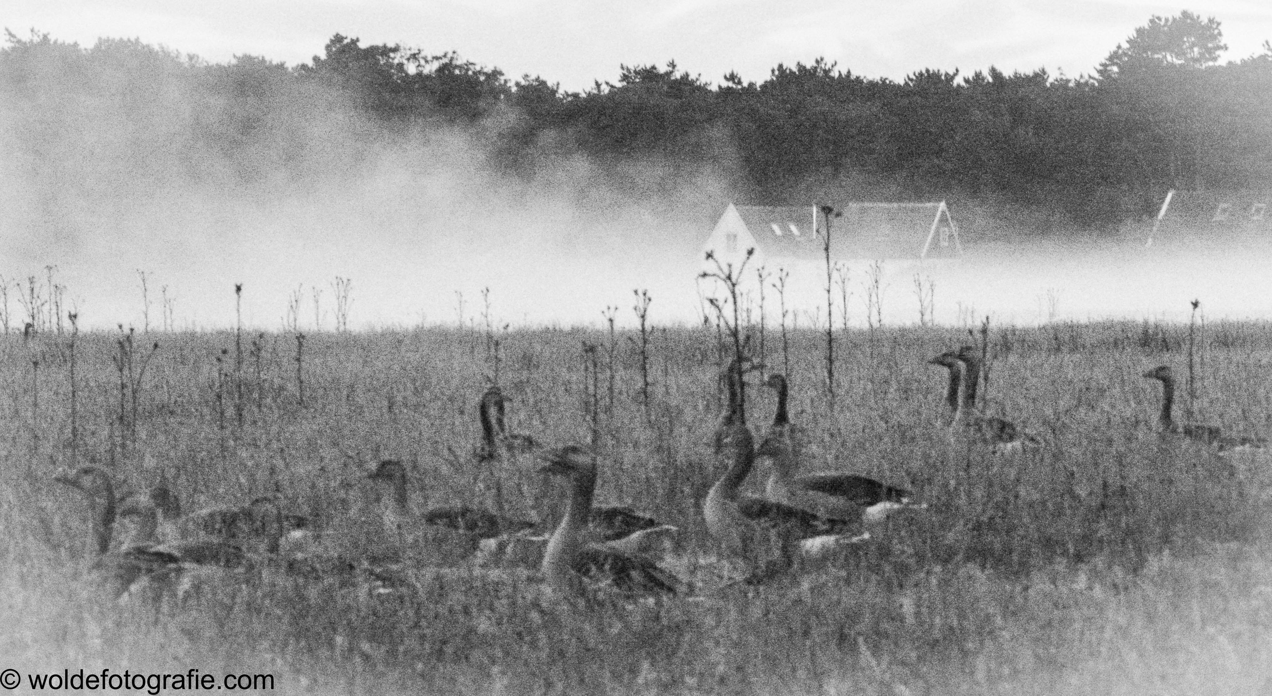 040704_naamloos_1189