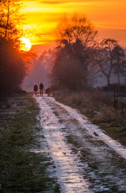 20170122-220122_naamloos_3864