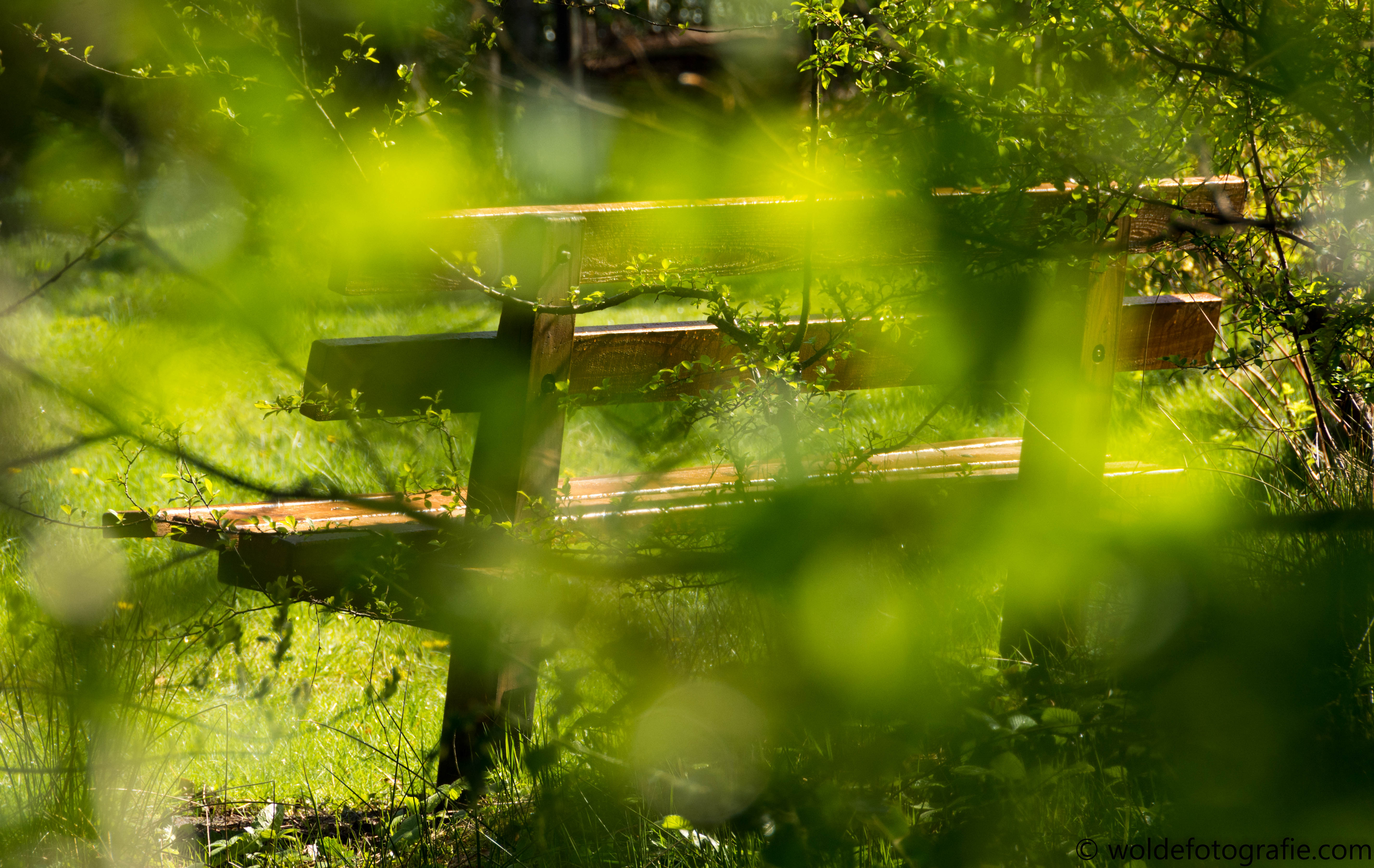 20170423-230423_naamloos_6388