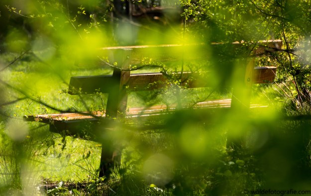 20170423-230423_naamloos_6388