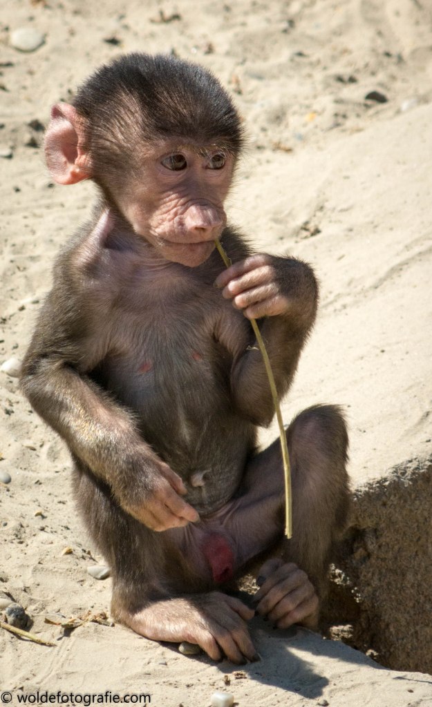 20170511-110511_naamloos_7122