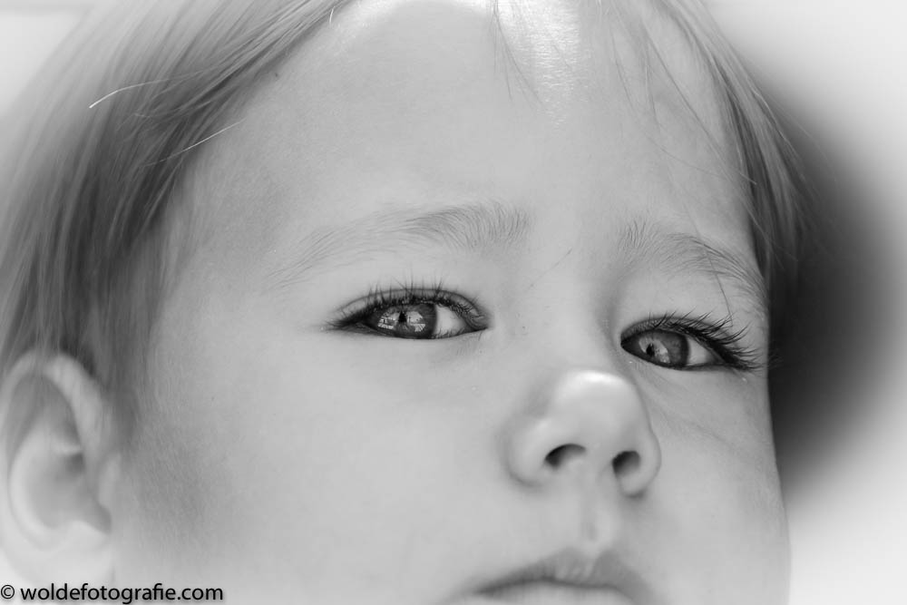 DSC_2930WildLands Julius en Philou-2